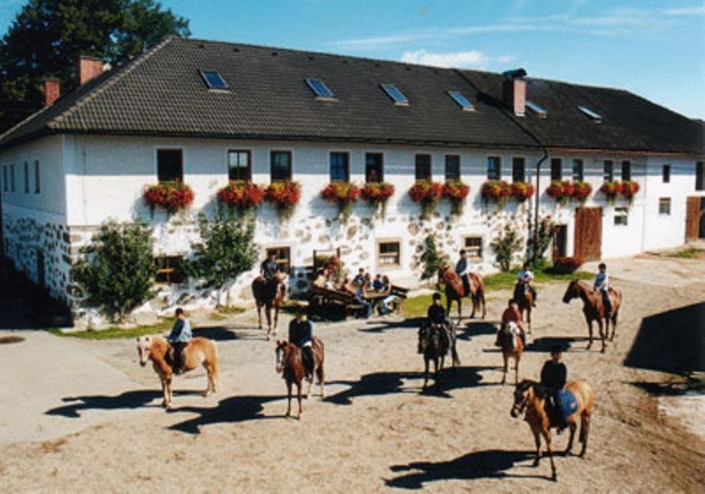 Willa Reiterhof Stoeglehner Rainbach im Mühlkreis Zewnętrze zdjęcie