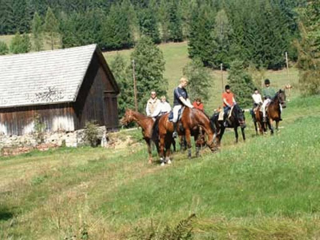 Willa Reiterhof Stoeglehner Rainbach im Mühlkreis Zewnętrze zdjęcie